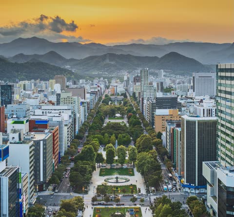 Aerial view of a city street at sunset, lined with trees and buildings.